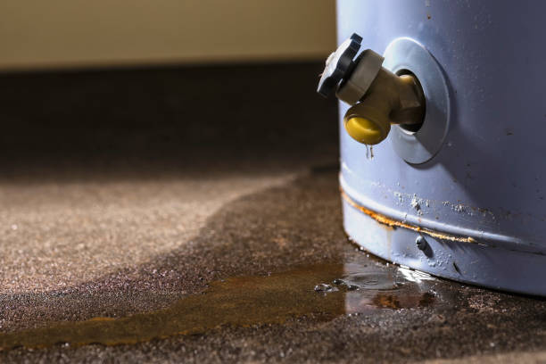 Best Water damage contractors near me  in Three Forks, MT