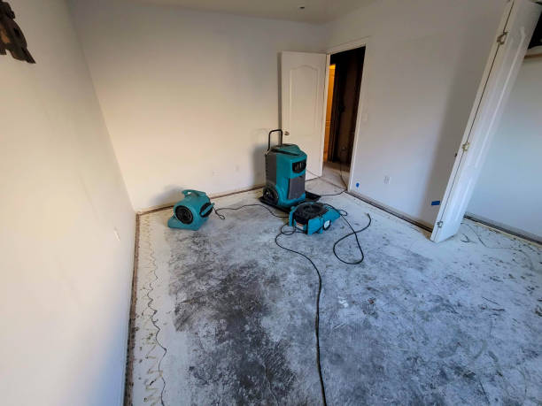 Best Water damage restoration cost  in Three Forks, MT
