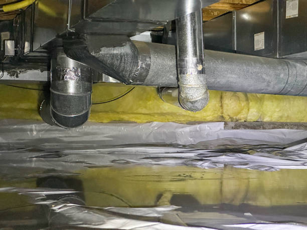 Best Professional water damage repair  in Three Forks, MT