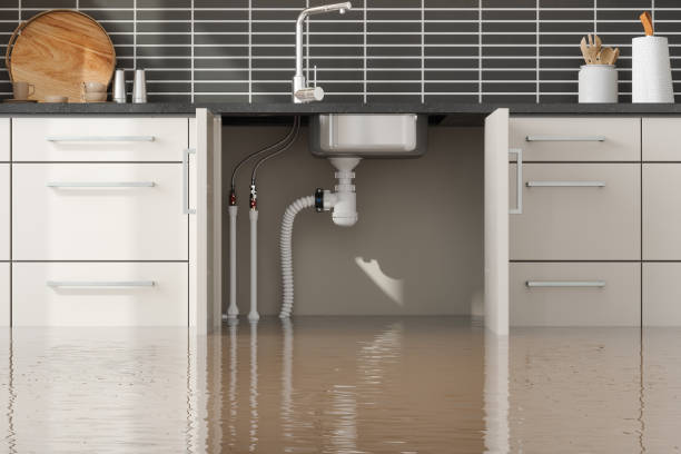 Best Local water damage restoration  in Three Forks, MT